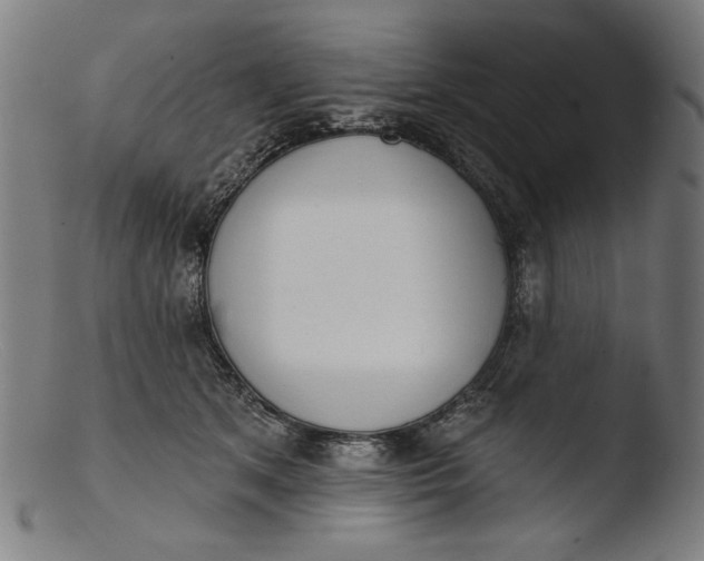 X0000103400513200809261622