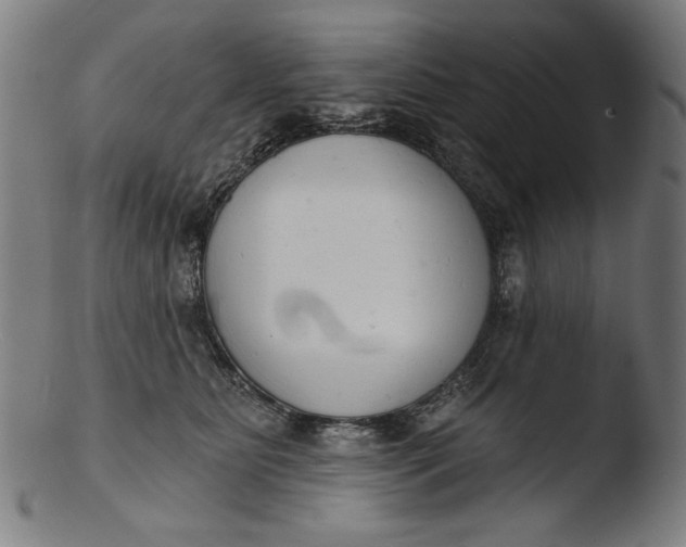 X0000103400515200809261622