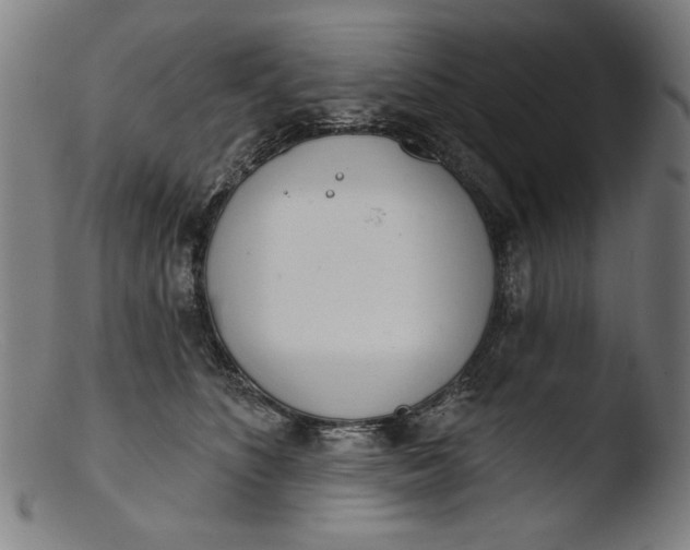 X0000103400516200809261622