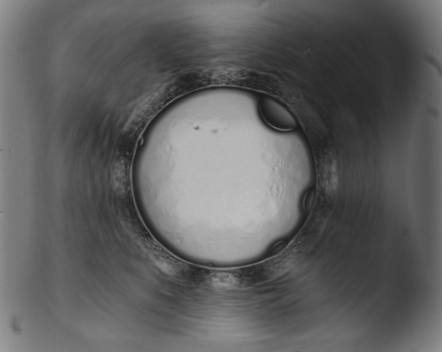 X0000103400519200809261622