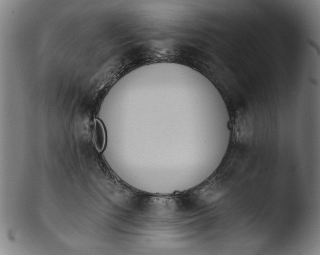 X0000103400520200809261622