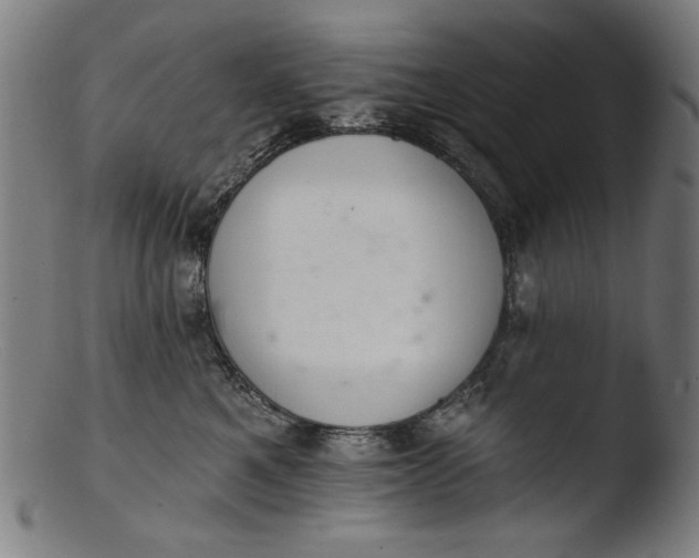 X0000103400521200809261622