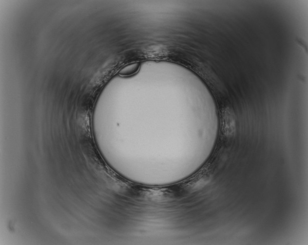 X0000103400523200809261622