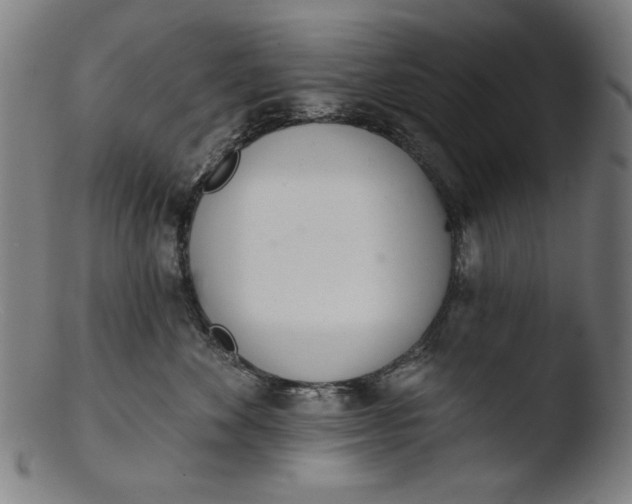 X0000103400524200809261622