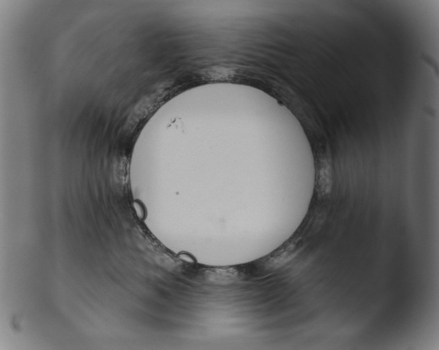 X0000103400525200809261622