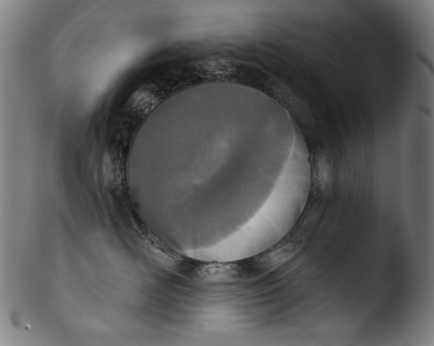 X0000103400526200809261622