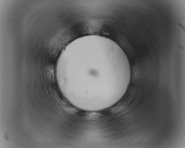 X0000103400527200809261622