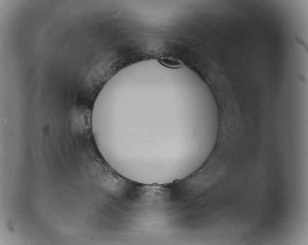 X0000103400528200809261622