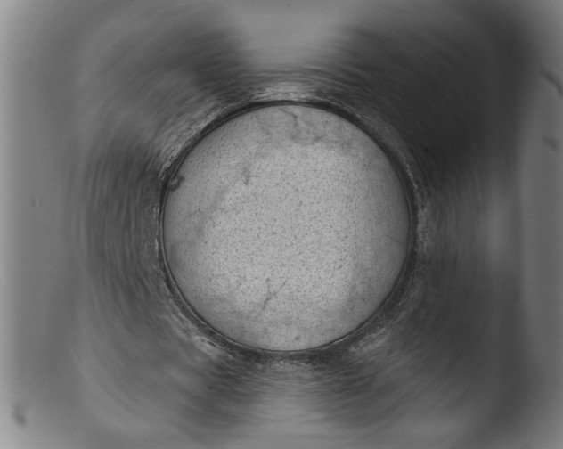 X0000103400529200809261622