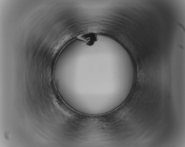 X0000103400530200809261622