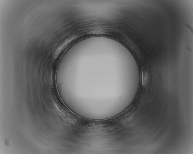 X0000103400531200809261622