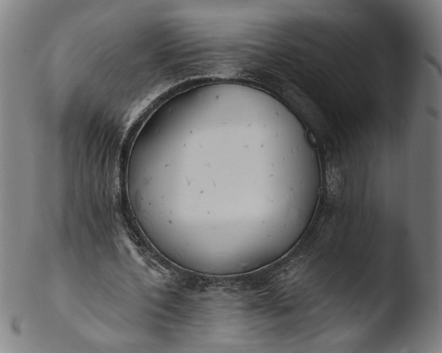 X0000103400532200809261622