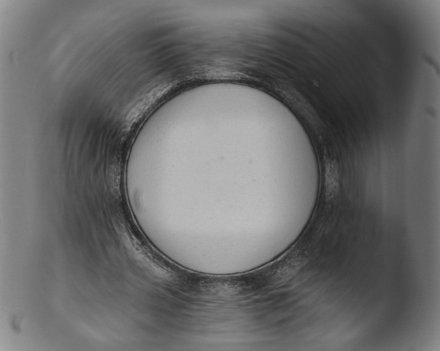 X0000103400533200809261622