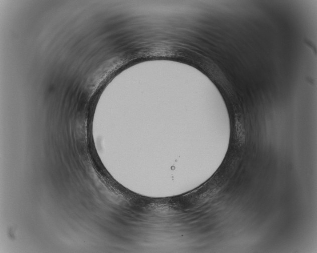 X0000103400534200809261622