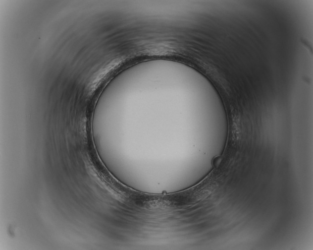 X0000103400535200809261622