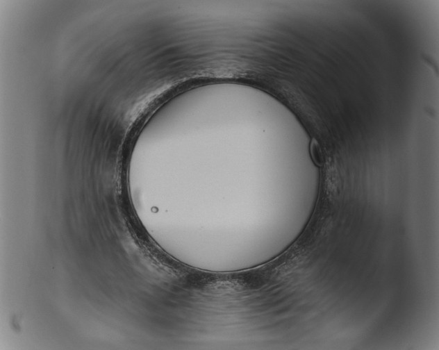 X0000103400536200809261622