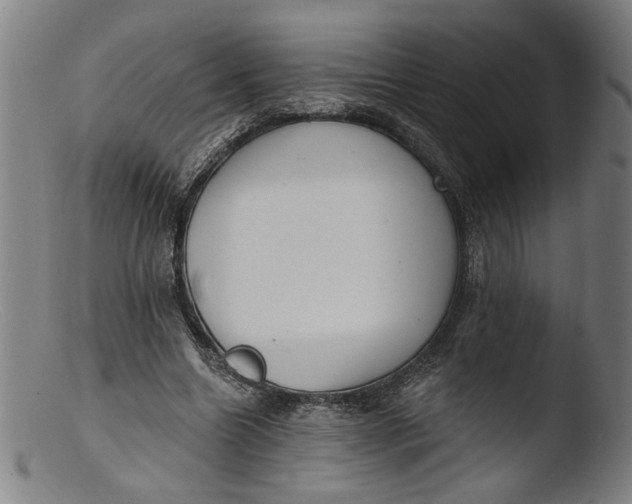 X0000103400538200809261622