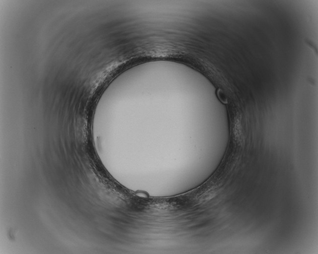 X0000103400540200809261622