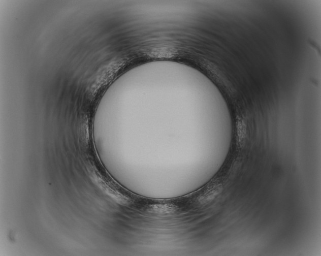 X0000103400541200809261622