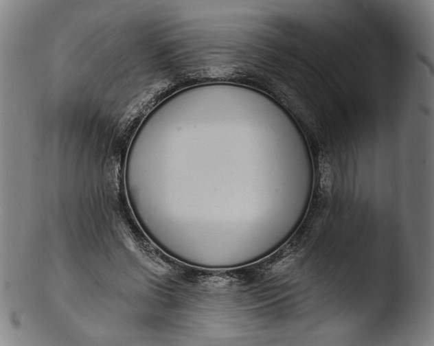 X0000103400542200809261622