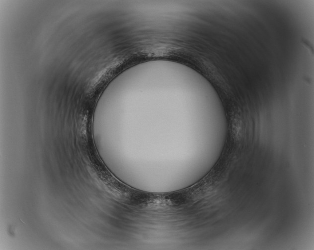 X0000103400543200809261622