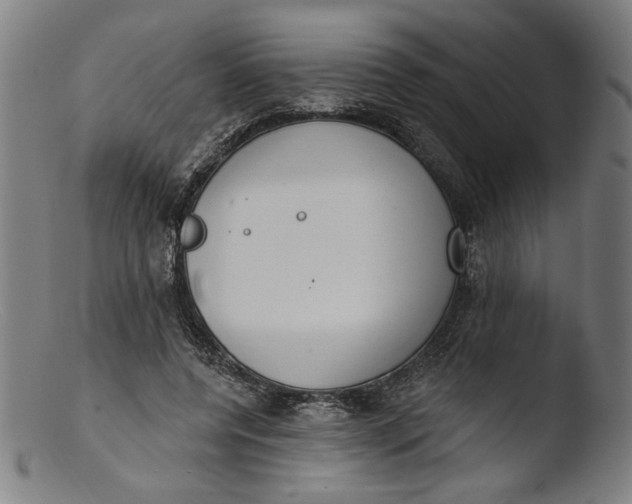 X0000103400544200809261622