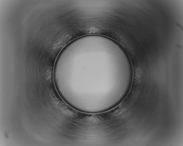 X0000103400545200809261622