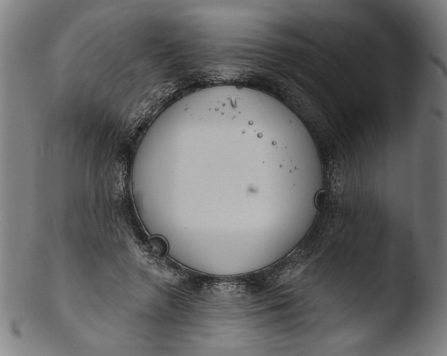 X0000103400546200809261622