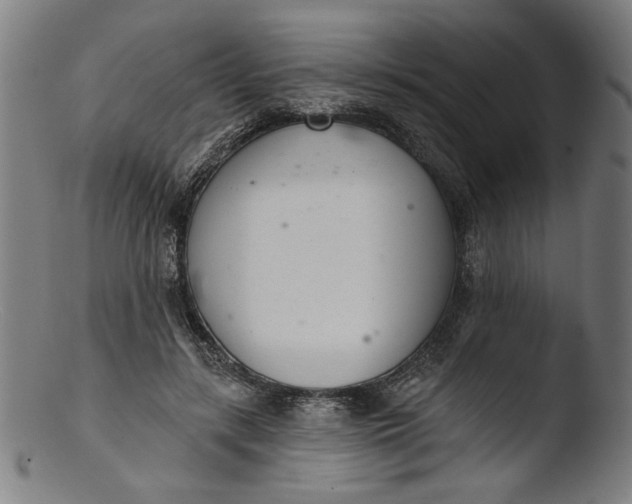 X0000103400547200809261622