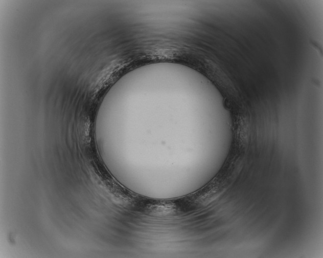 X0000103400548200809261622