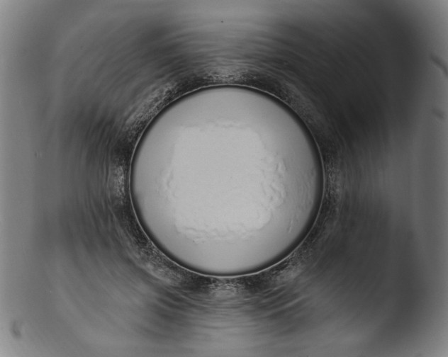 X0000103400549200809261622