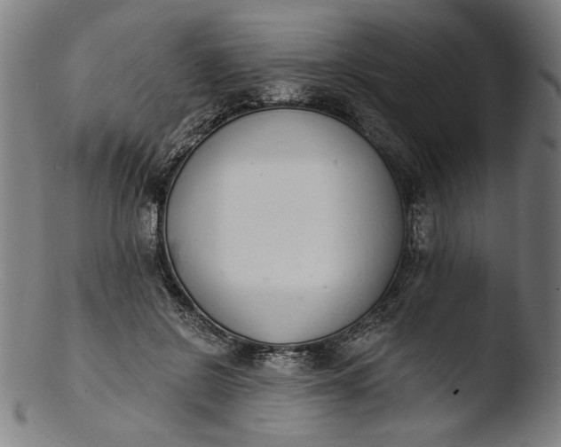 X0000103400550200809261622