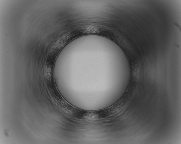 X0000103400551200809261622