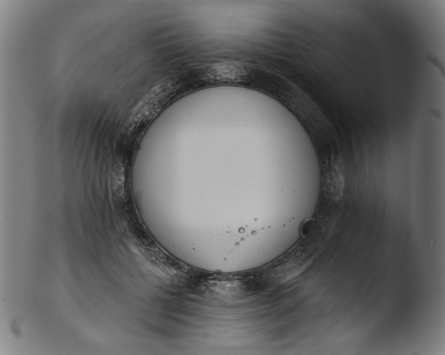 X0000103400552200809261622