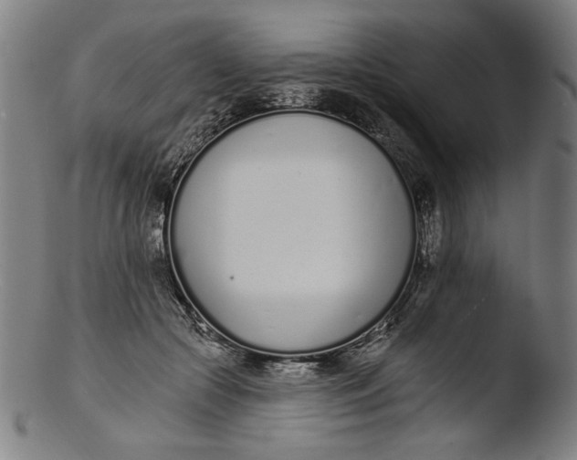 X0000103400553200809261622