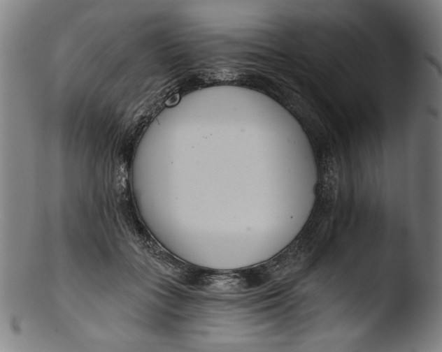 X0000103400555200809261622