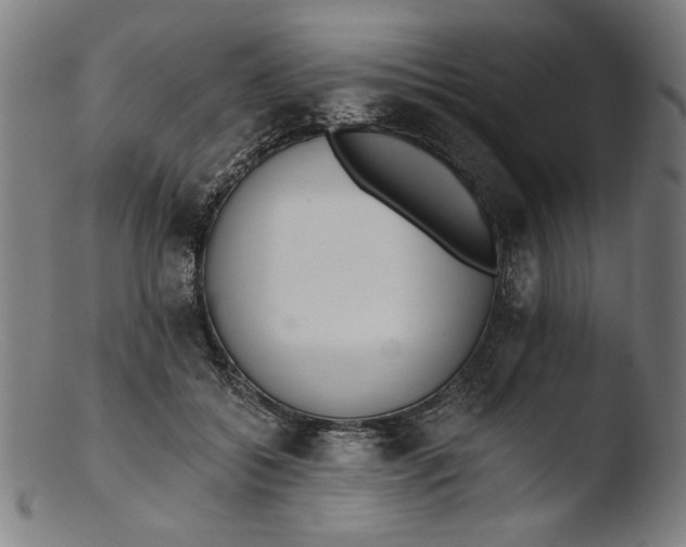 X0000103400556200809261622