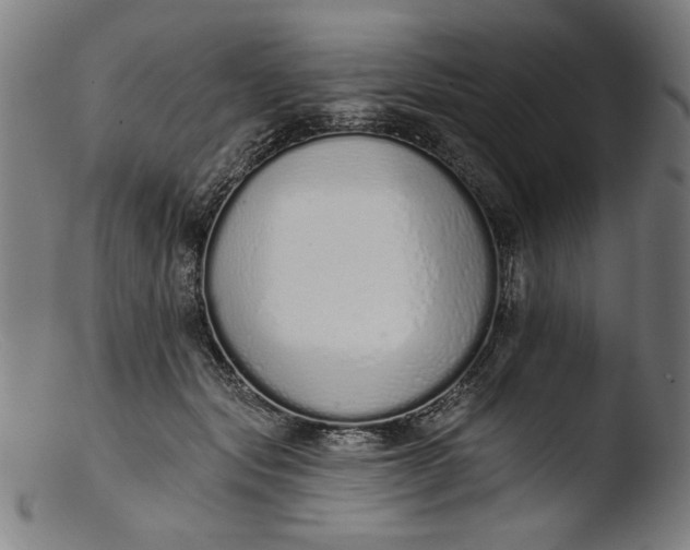 X0000103400557200809261622