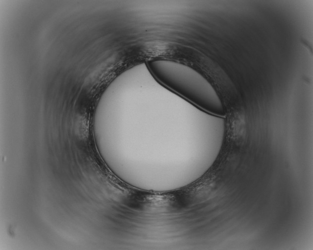 X0000103400558200809261622