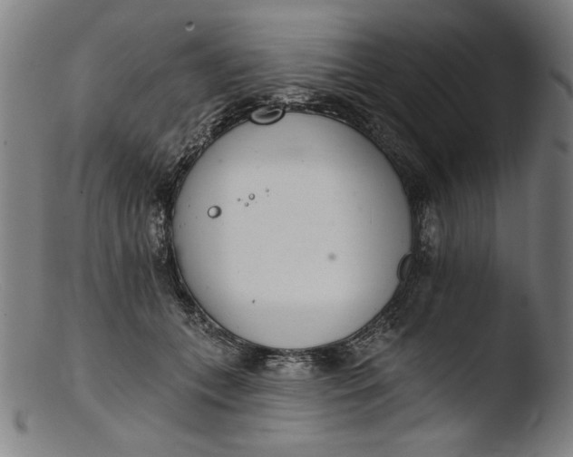 X0000103400559200809261622