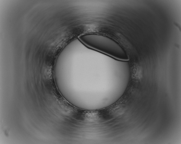 X0000103400560200809261622