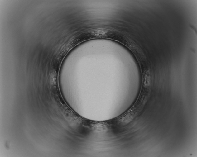 X0000103400561200809261622