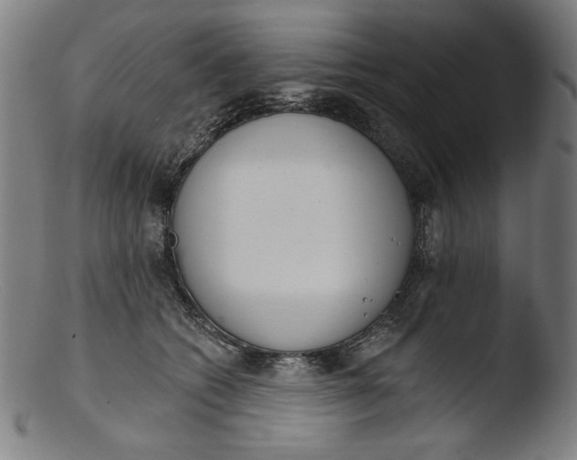 X0000103400562200809261622