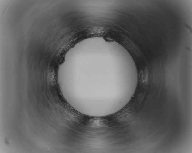 X0000103400564200809261622