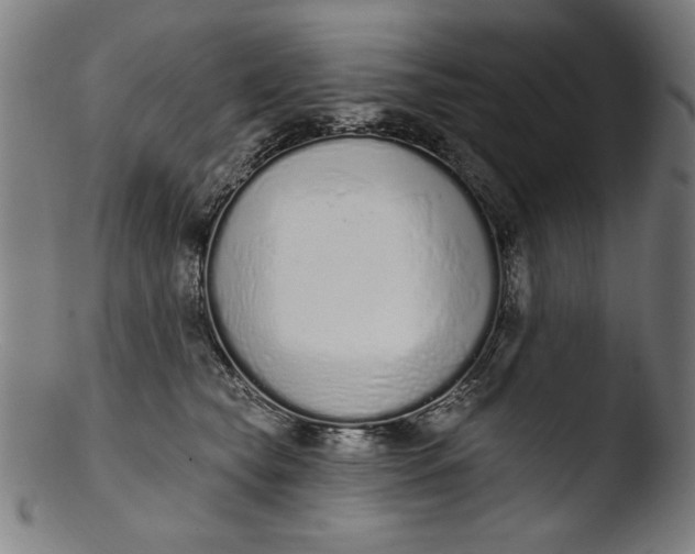 X0000103400565200809261622