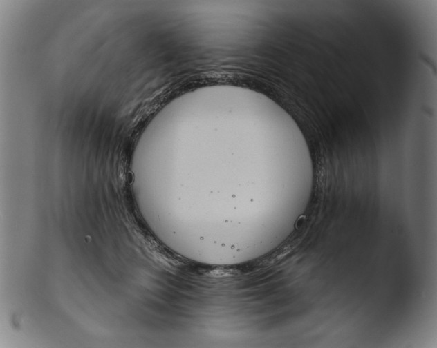 X0000103400566200809261622