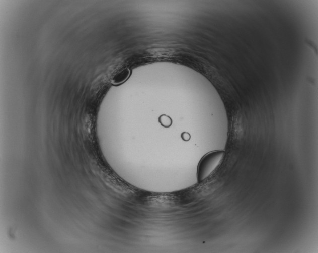 X0000103400567200809261622