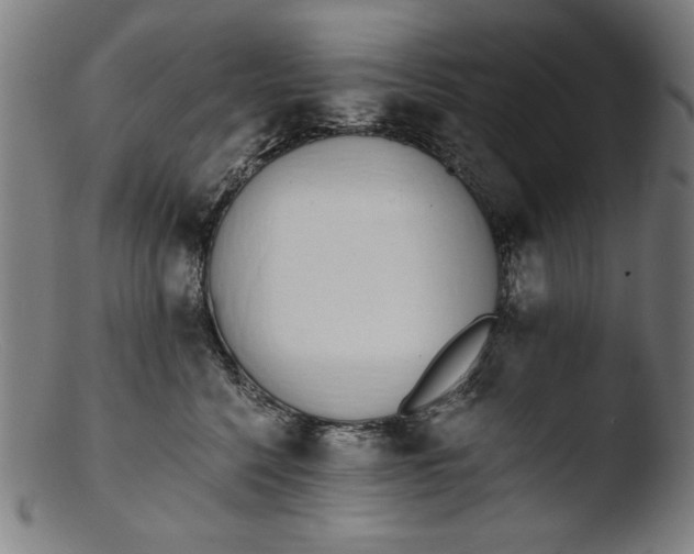 X0000103400568200809261622