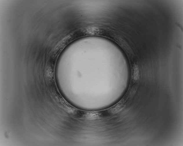 X0000103400569200809261622