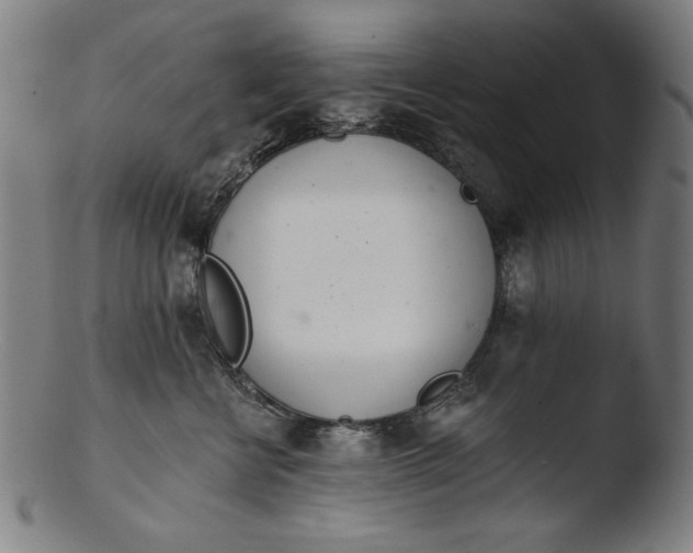 X0000103400570200809261622